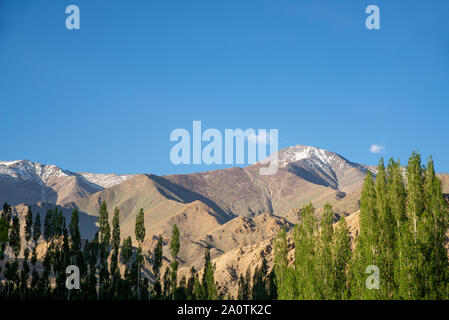 landscape near Leh, Ladakh,India Stock Photo