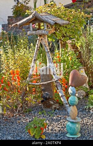 The berry of the physalis in the red shell on the branch - Physalis peruviana Stock Photo