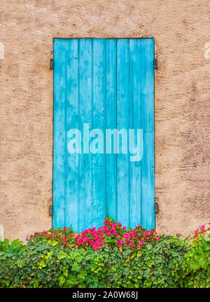 Pretty blue wooden shutters, looking like a door, with flowers growing in a window box, in Provence, France. Stock Photo