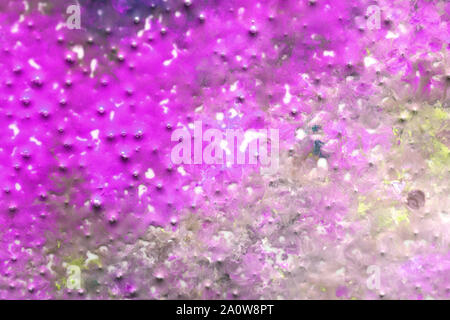 Abstract fantasy blue, green and pink wavy texture. Swirly fractal background. Digital art. 3D rendering. Stock Photo