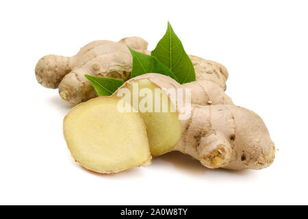 Fresh ginger root or rhizome isolated on white background cutout Stock Photo
