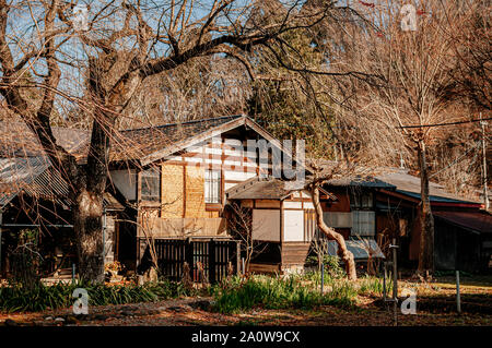 DEC 3, 2018 Kakunodate, Japan - Kakunodate old Samurai town famous vintage Edo houses that became museum with big tree in Akita, Tohoku region Stock Photo