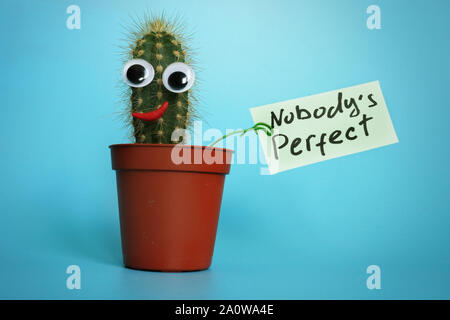 Nobody is perfect essay