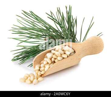 peeled cedar nuts in wooden scoop and pine branch isolated on white background Stock Photo