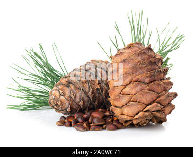 heap of unpeeled cedar nuts and branch with pine cones isolated on white background Stock Photo