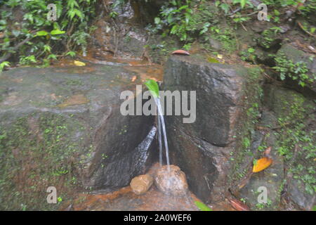 A small water fall or stream of water flowing between two big rocks in a mountain in shillong, cherrapunjee from a fresh green leaf Stock Photo