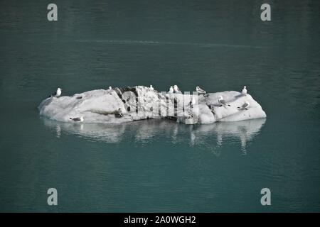 floating ice block reflected in the green waters of Glacier Bay Stock Photo