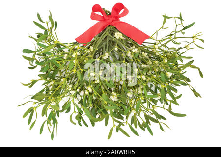 Fresh mistletoe hanging on a red ribbon on white background Stock Photo ...