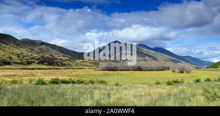 Beautiful landscape with grassland, dry bushes and mountains on the Molesworth station area in New Zealand, South Island. Stock Photo