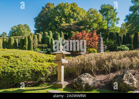 View into the Japanese Garden in Bonn on a sunny late summer day. Stock Photo