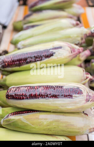 Close-up view of the purple corn. Stock Photo