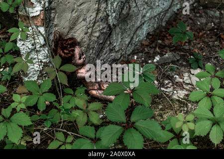 overhead view of burnt baby doll near green leaves and tree trunk in chernobyl Stock Photo
