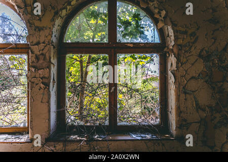 A tree grows through a ruined window Stock Photo