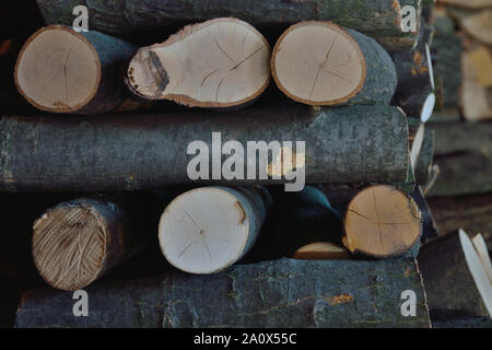 Pile of chopped firewood prepared for winter, Stock Photo