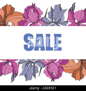 Vector Iris floral botanical flowers. Wild spring leaf wildflower isolated. Black and white engraved ink art. Frame border ornament square on white ba Stock Vector