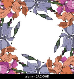 Vector Iris floral botanical flowers. Wild spring leaf wildflower isolated. Black and white engraved ink art. Frame border ornament square on white ba Stock Vector