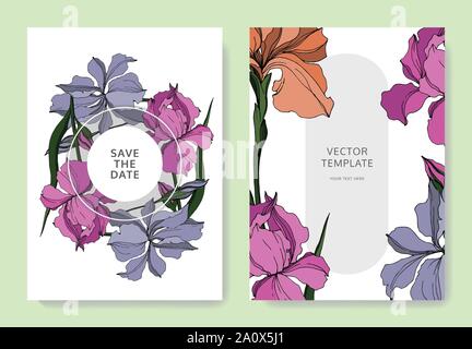Vector Iris floral botanical flowers. Black and white engraved ink art. Wedding background card floral decorative border. Thank you, rsvp, invitation Stock Vector
