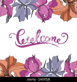 Vector Iris floral botanical flowers. Wild spring leaf wildflower isolated. Black and white engraved ink art. Frame border ornament square on white ba Stock Vector