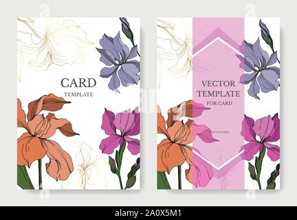 Vector Iris floral botanical flowers. Black and white engraved ink art. Wedding background card floral decorative border. Thank you, rsvp, invitation Stock Vector