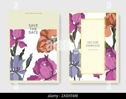 Vector Iris floral botanical flowers. Black and white engraved ink art. Wedding background card floral decorative border. Thank you, rsvp, invitation Stock Vector