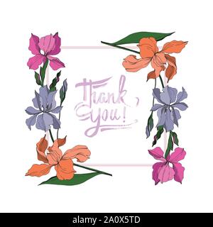 Vector Iris floral botanical flowers. Wild spring leaf wildflower isolated. Black and white engraved ink art. Frame border ornament square on white ba Stock Vector