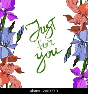 Vector Iris floral botanical flowers. Wild spring leaf wildflower isolated. Black and white engraved ink art. Frame border ornament square on white ba Stock Vector