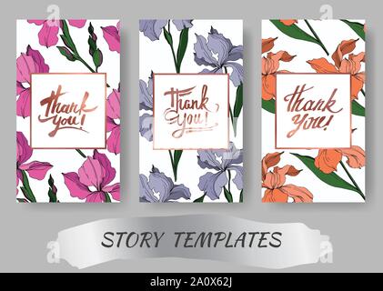 Vector Iris floral botanical flowers. Black and white engraved ink art. Wedding background card floral decorative border. Thank you, rsvp, invitation Stock Vector