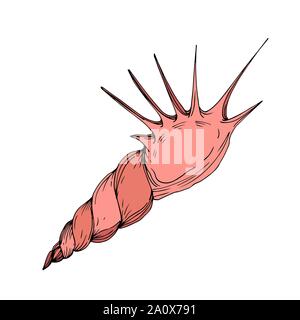 Vector Summer beach seashell tropical elements. Engraved ink art. Isolated shells illustration element on white background. Stock Vector