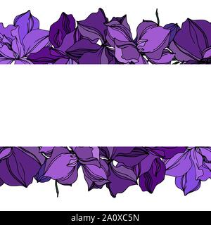Vector Orchid floral botanical flowers. Wild spring leaf wildflower isolated. Black and purple engraved ink art. Frame border ornament square on white Stock Vector