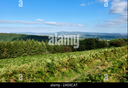 Looking towards Titterstone Clee Hill from High Vinnals in Mortimer Forest, near Ludlow, Shropshire Stock Photo