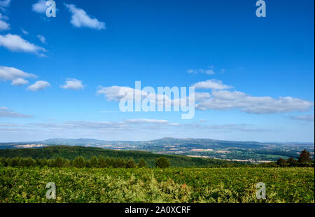 Looking towards Titterstone Clee Hill and Brown Clee Hill from High Vinnals in Mortimer Forest, near Ludlow, Shropshire Stock Photo