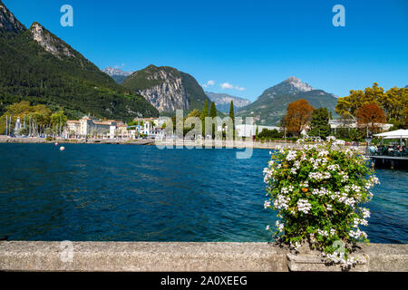 Flowers at side of Lake Garda, Riva del Garda, Trentino, Alto Adige, Northern Italy Stock Photo