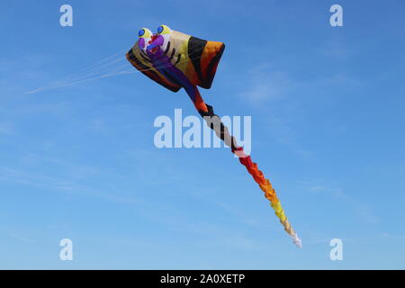 Huge colorful Kite flying in Clear Sky Stock Photo