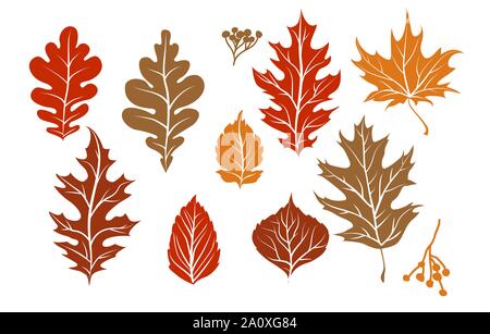 Autumn leaves silhouette isolated. Nature design elements set. Fall leaves for decoration. Stock Vector