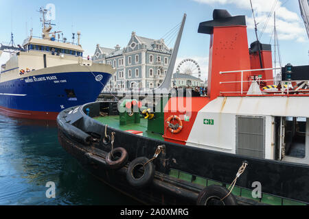 The fishing trawler Harvest Atlantic Peace navigates South Africa's Cape Town Waterfront channel after a dry dock service and paint job. Stock Photo