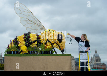 EDITORIAL USE ONLY Food artist Prudence Staite and an edible Bee sculpture, created by Yeo Valley to celebrate Organic September and International Organic Day in Southbank, London. Stock Photo
