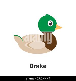 Drake in cartoon style, pond card for kid, preschool activity for children, vector Stock Vector