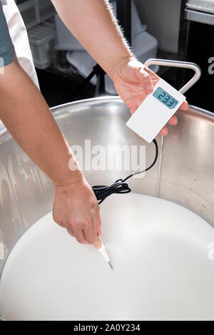 https://l450v.alamy.com/450v/2a0y234/cheesemaker-measures-the-temperature-of-milk-in-a-steel-container-with-an-electronic-thermometer-2a0y234.jpg