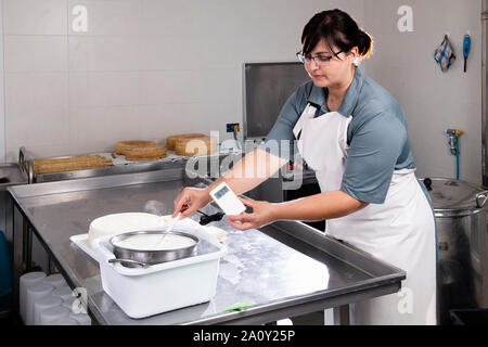 Cheesemaker measuring temperature with thermometer in a large steel tank  full of milk Stock Photo - Alamy