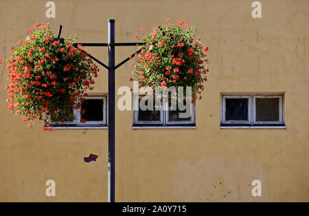 Big Geranium flower pots on a pole in front of an old building with three small windows Stock Photo