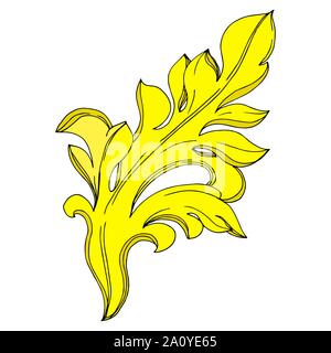 Vector Golden monogram floral ornament. Baroque design isolated elements. Black and white engraved ink art. Isolated monograms illustration element. Stock Vector