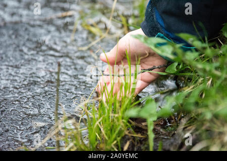 Child hand touching frog spawn in a lake in spring Stock Photo