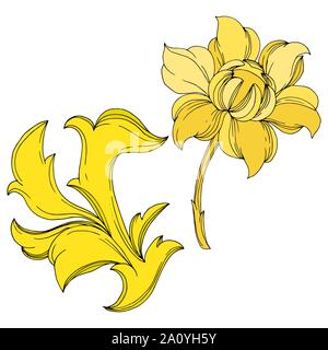Vector Golden monogram floral ornament. Baroque design isolated elements. Black and white engraved ink art. Isolated monograms illustration element. Stock Vector