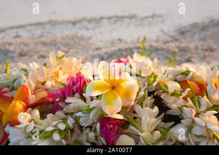 A lei of beautiful tropical flowers rests on a railing above a white sandy beach Stock Photo