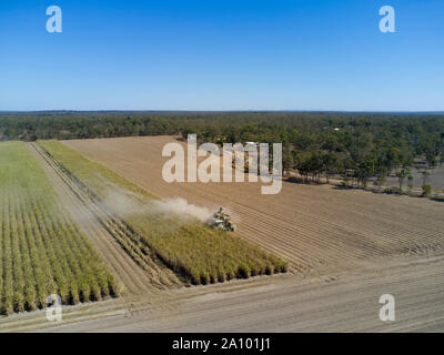 A tracked combine harvester harvesting sugarcane in very dusty conditions Bundaberg Queensland Australia Stock Photo