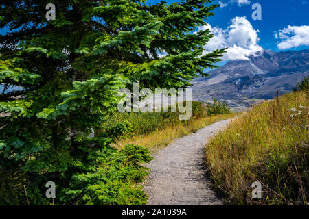 Hiking trail through Mount St. Helens National Volcanic Monument, WA, USA Stock Photo