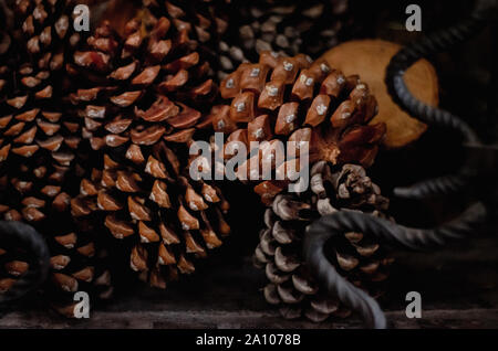 Close view of some brown pineapples stacked on top of each other inside a wood burning fireplace. Stacked pineapples wallpaper Stock Photo