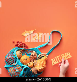 Fall flat lay with turquoise string bag with orange pumpkins and female hand holding paper word "Autumn". Top vie on orange paper background, square c Stock Photo