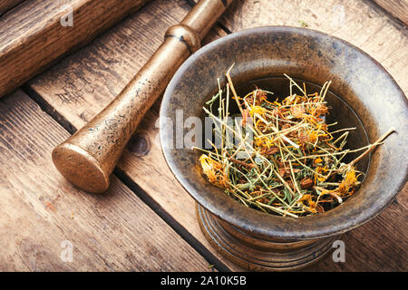 Hypericum perforatum.Healing herbs in old bronze mortar.Medicinal plant Stock Photo
