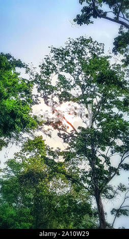 Sights at Nameri National Park, India Stock Photo